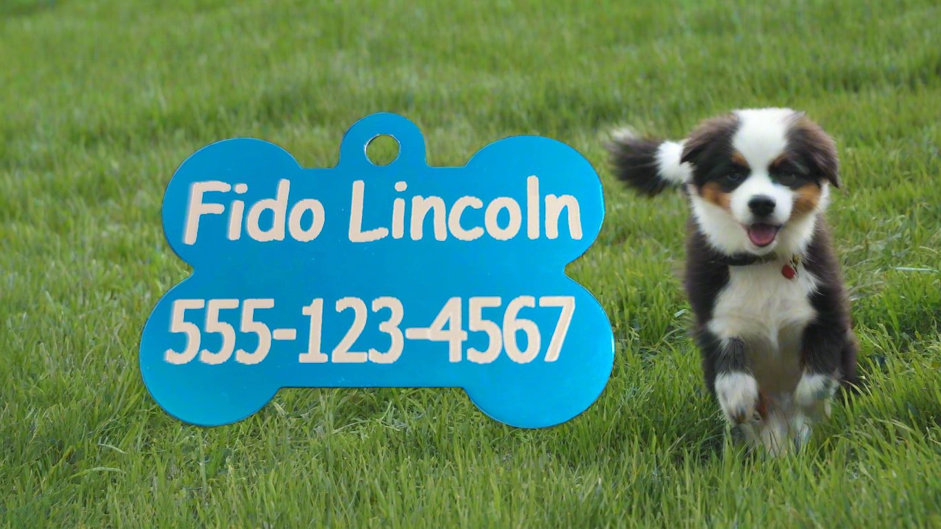 Custom Engraved Bone-Shaped Metal Pet Tag